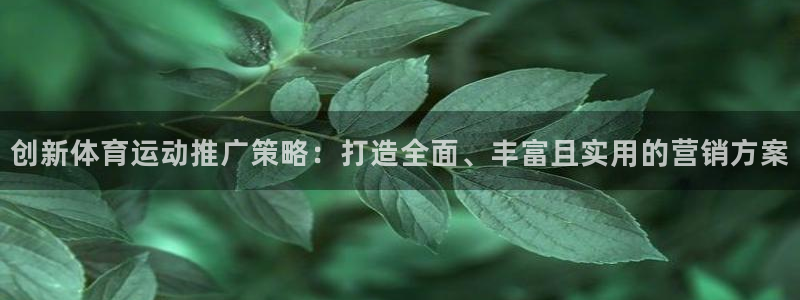 哈哈体育