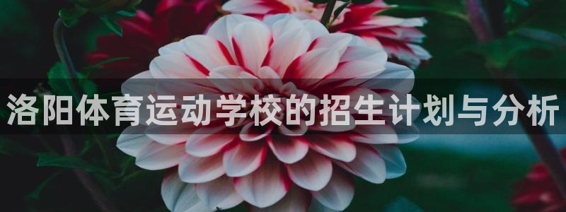 哈哈体育十年