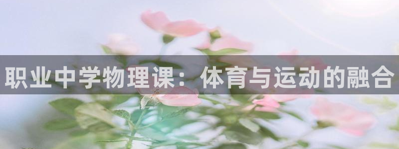 哈哈体育十年
