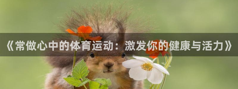 哈哈体育下载