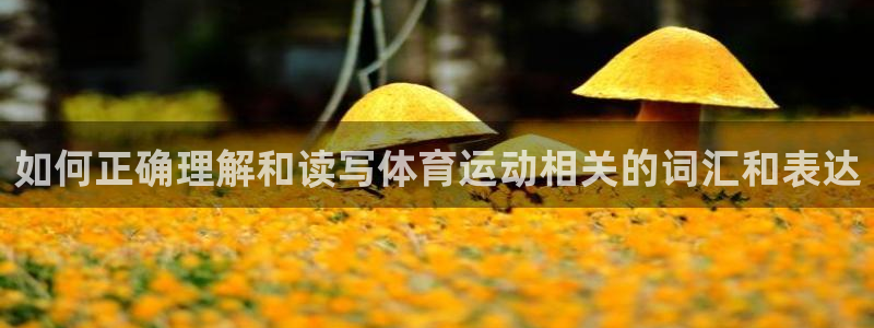 哈哈体育