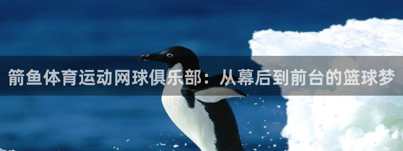 哈哈体育下载