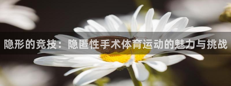哈哈体育十年