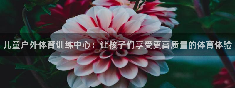哈哈体育下载