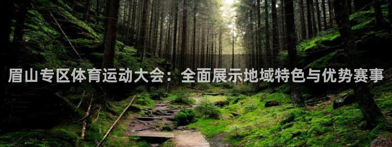 哈哈体育十年