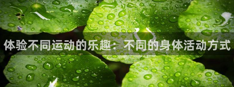 哈哈体育十年