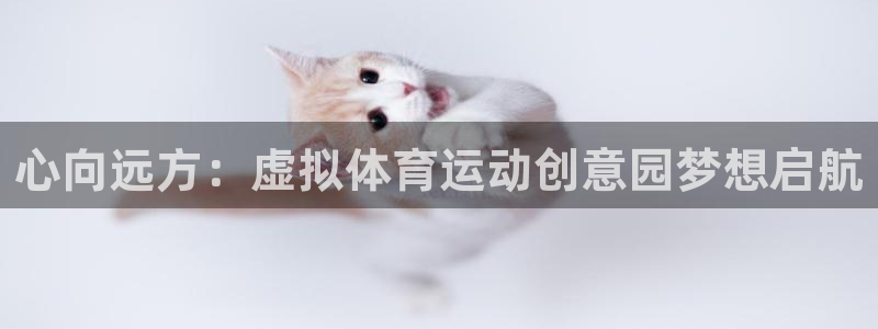 哈哈体育