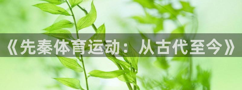 哈哈体育十年