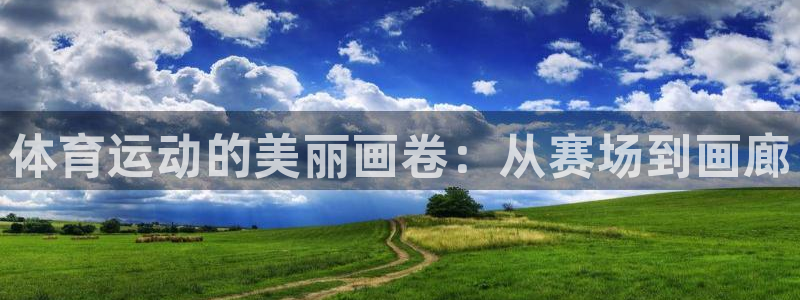 哈哈体育