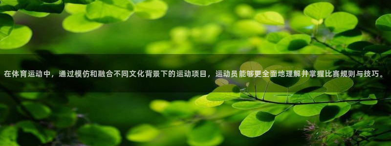 哈哈体育十年