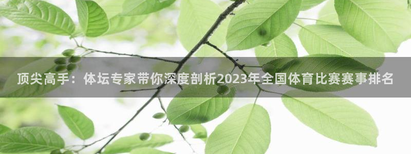 哈哈体育十年
