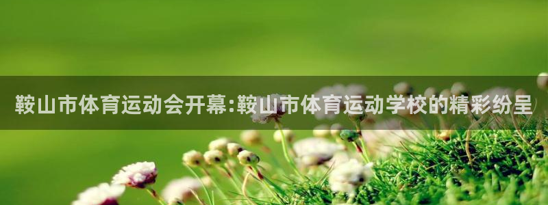 哈哈体育