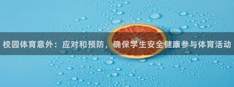 哈哈体育十年