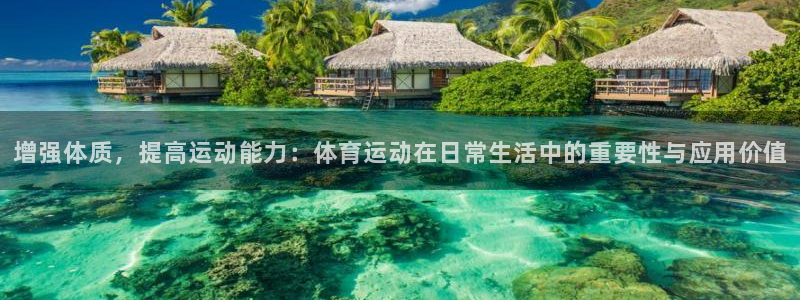 哈哈体育下载