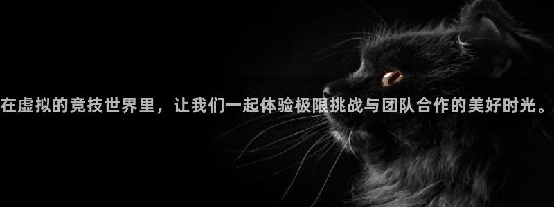 哈哈体育十年