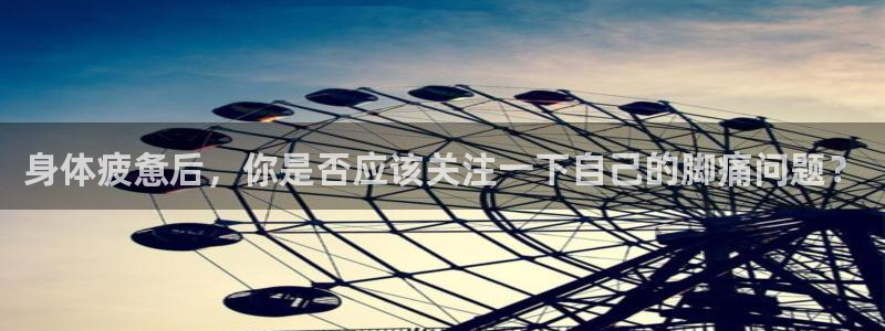 哈哈体育十年
