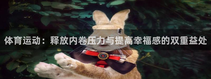 哈哈体育下载