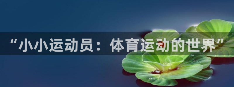 哈哈体育十年