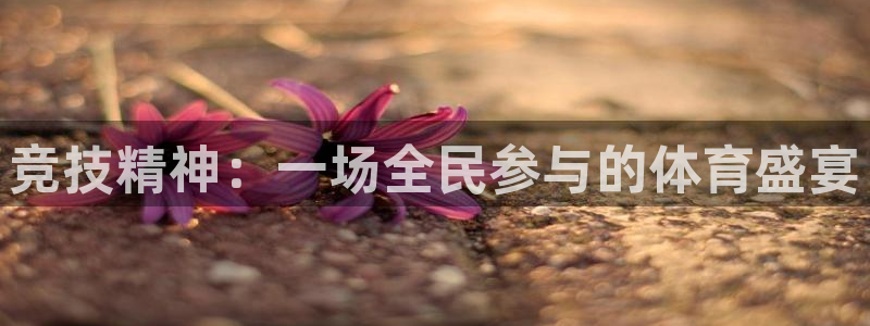 哈哈体育十年